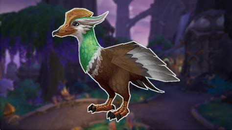 duck mount wow|large duck next wow.